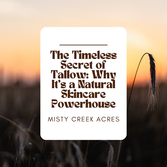 The Timeless Secret of Tallow: Why It’s a Natural Skincare Powerhouse