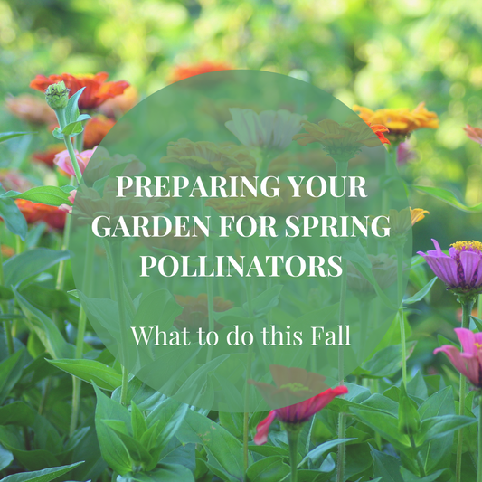 Preparing Your Garden For Spring Pollinators: What To Do This Fall