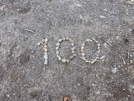 Day 10 - Thru Hiking The Appalachian Trail