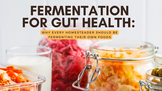 Fermentation for Gut Health: Why Every Homesteader Should Be Fermenting Their Own Foods