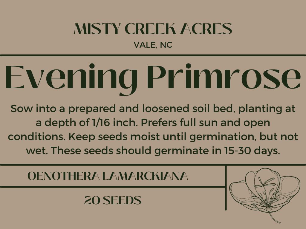 Evening Primrose seeds, premium evening primrose seeds, North Carolina homesteading seeds, homesteading seeds for beginners, Seeds for gardening, seeds for gardening, evening primrose seeds for gardening, small farm seeds, homestead items