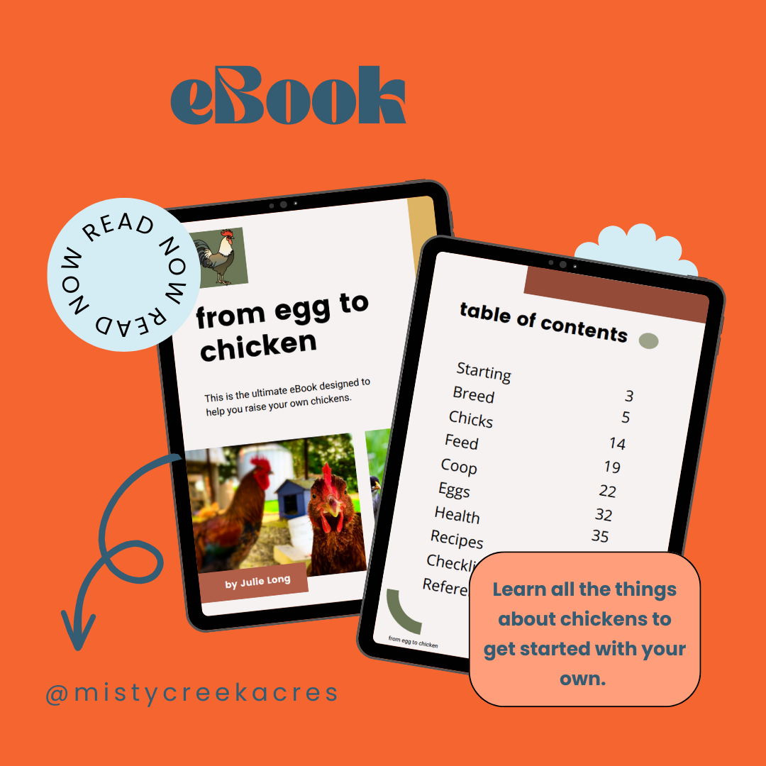 From Egg to Chicken, Raising Chickens eBook, Raising chickens guide, Guide on having chickens, Homesteading eBook, Chickens eBook