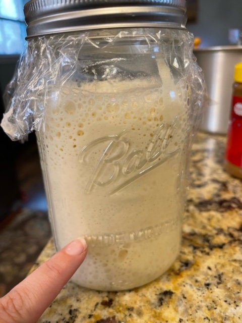 Sourdough dehydrated starter. packaged in an airtight bag and ready for you to add water to start making your own sourdough bread. instructions are given at purchase.