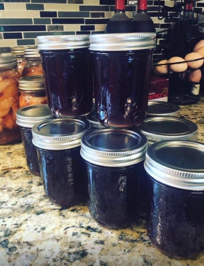 Elevate Your Health with Our Organic Elderberry Syrup DIY Kit/Homemade/Immune Boost/Herbs/All Natural