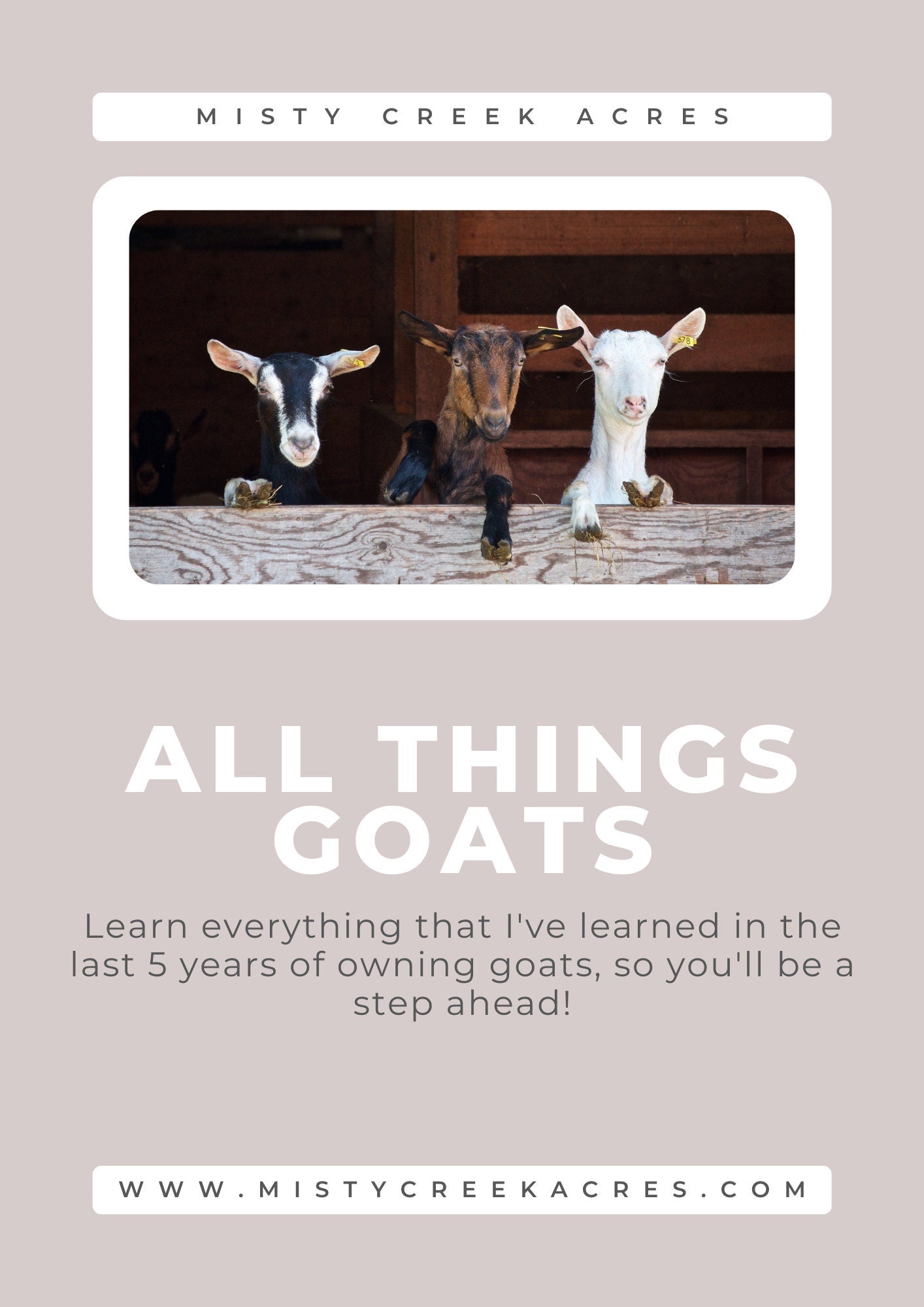 Learn How To Raise Goats/Ebook/All About Goats: The Ultimate Beginner's Guide to Raising Goats eBook