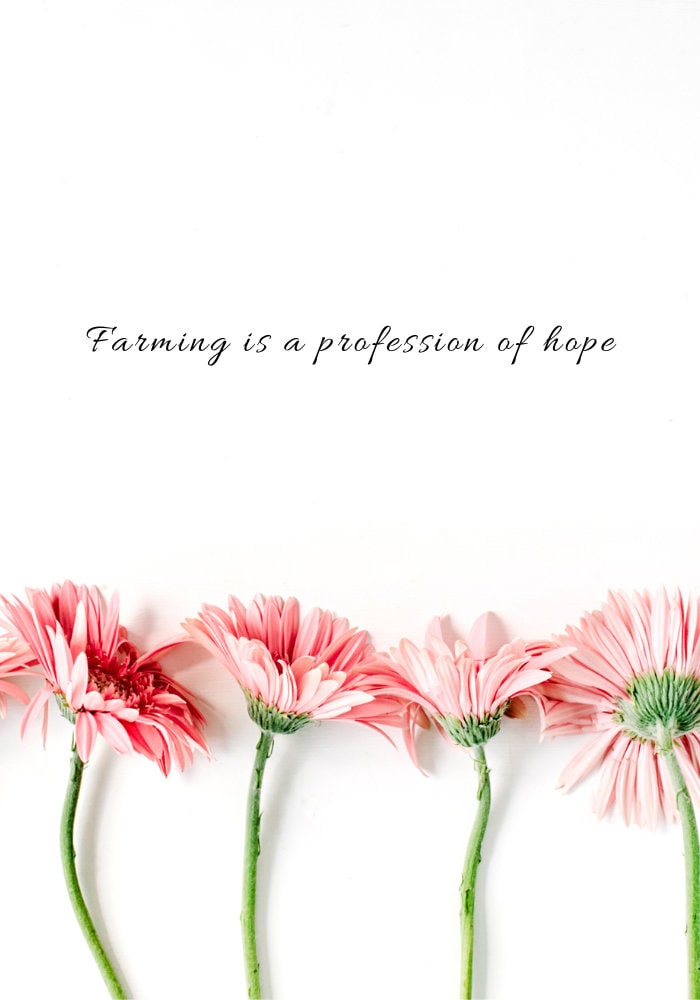 Farming is a Profession of Hope" Digital Download Print
