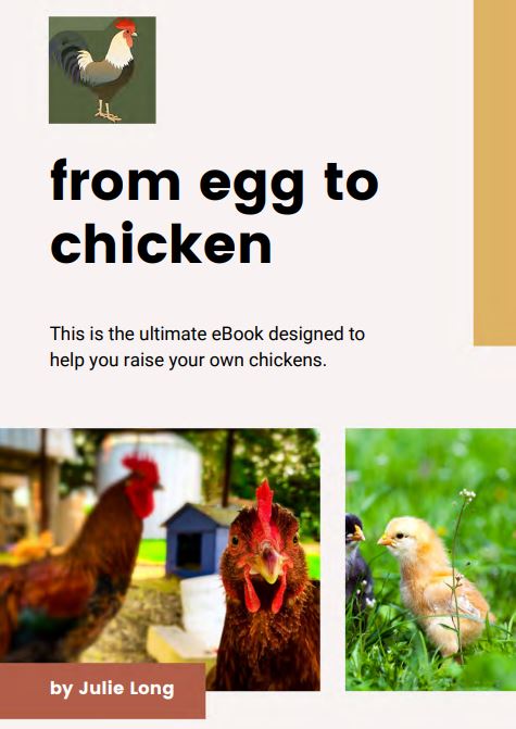 All about goats eBook, raising goats ebook, ebook on raising goats, guide on raising chickens and goats, homesteading guide, guide for new homesteader, guide to raising chickens, homesteading ebooks
