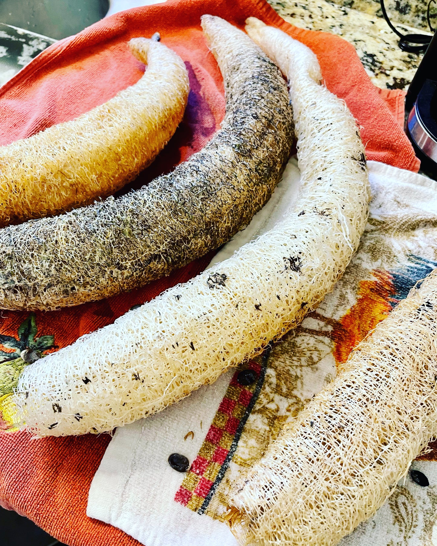 Vanilla Buff Goat Milk Bar Soap Exfoliating with Natural, Homegrown Luffa
