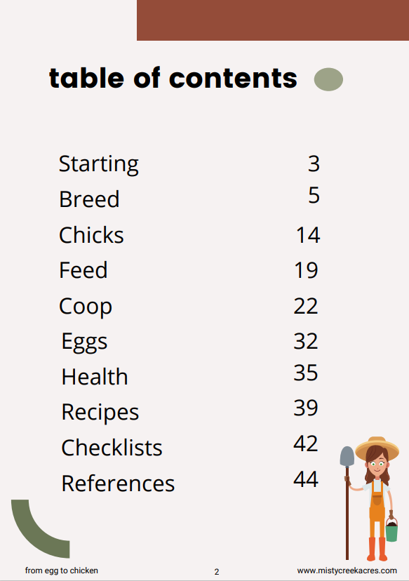 From Egg to Chicken, Raising Chickens eBook, Raising chickens guide, Guide on having chickens, Homesteading eBook, Chickens eBook