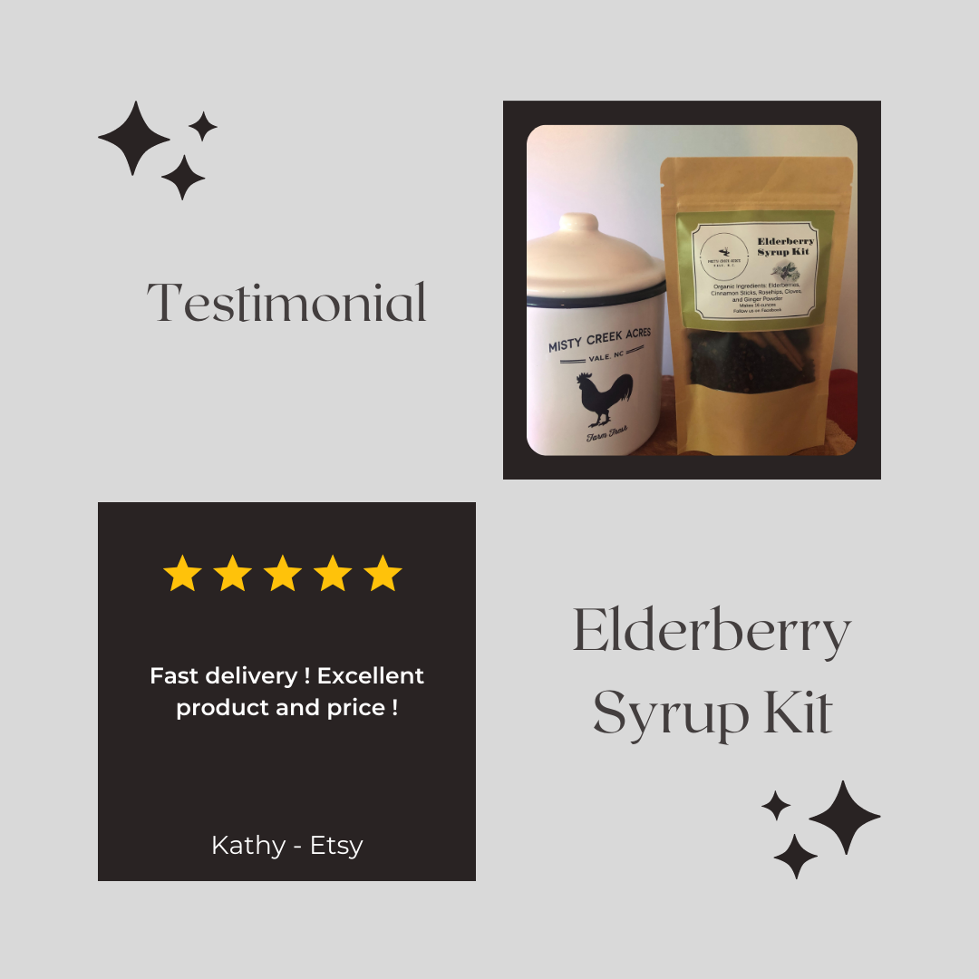 Elderyberry Syrup DIY Kit, DIY Elderberry Syrup, Homemade elderberry syrup, homemade medicine for allergies, holistic allergy medicine, DIY holistic medicine