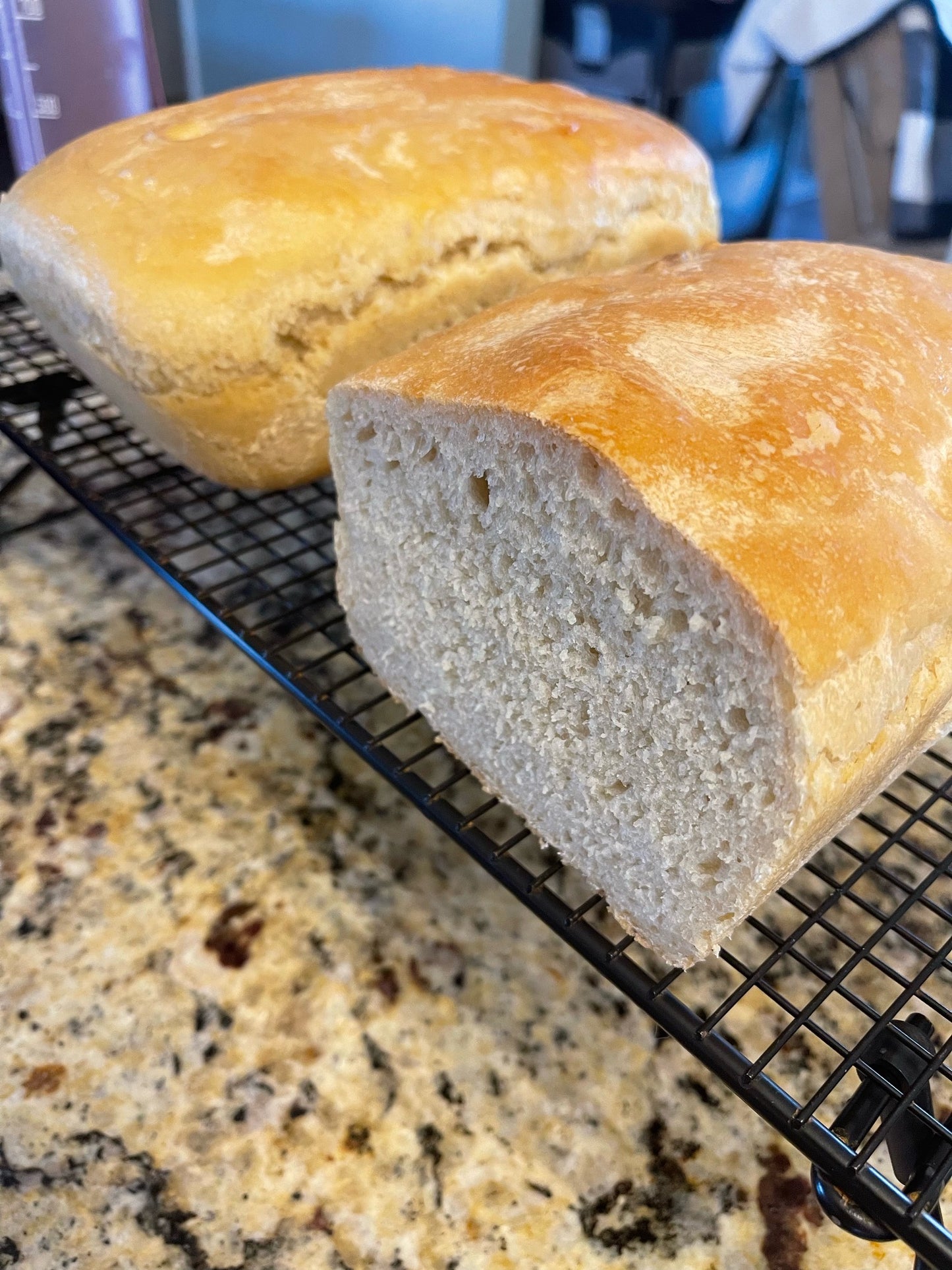 Organic Dehydrated Sourdough Starter, sourdough starter kit, sourdough DIY kit, homesteading, homemade sourdough, sourdough starter, North Carolina Homestead