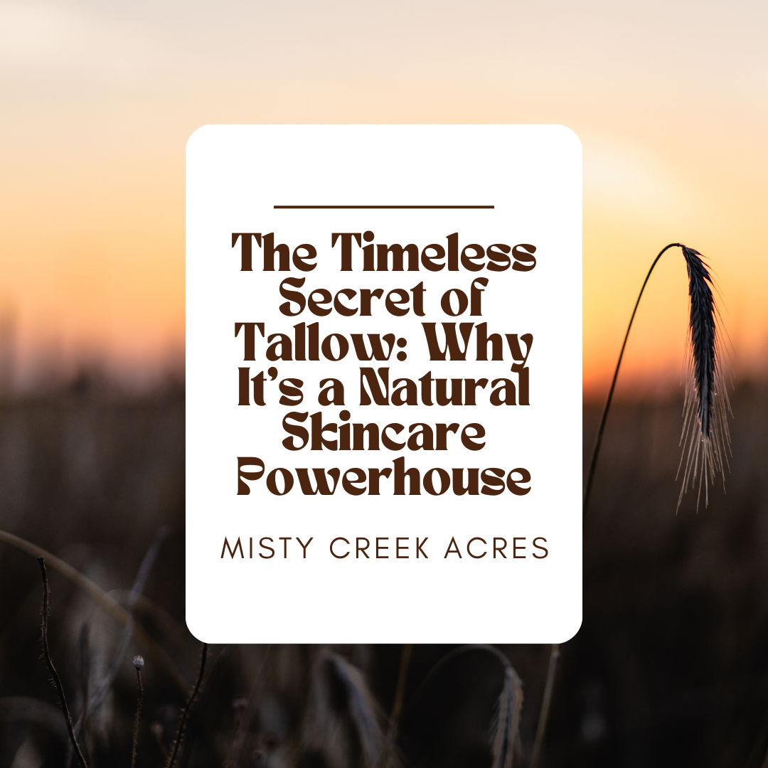 The Timeless Secret of Tallow: Why It’s a Natural Skincare Powerhouse