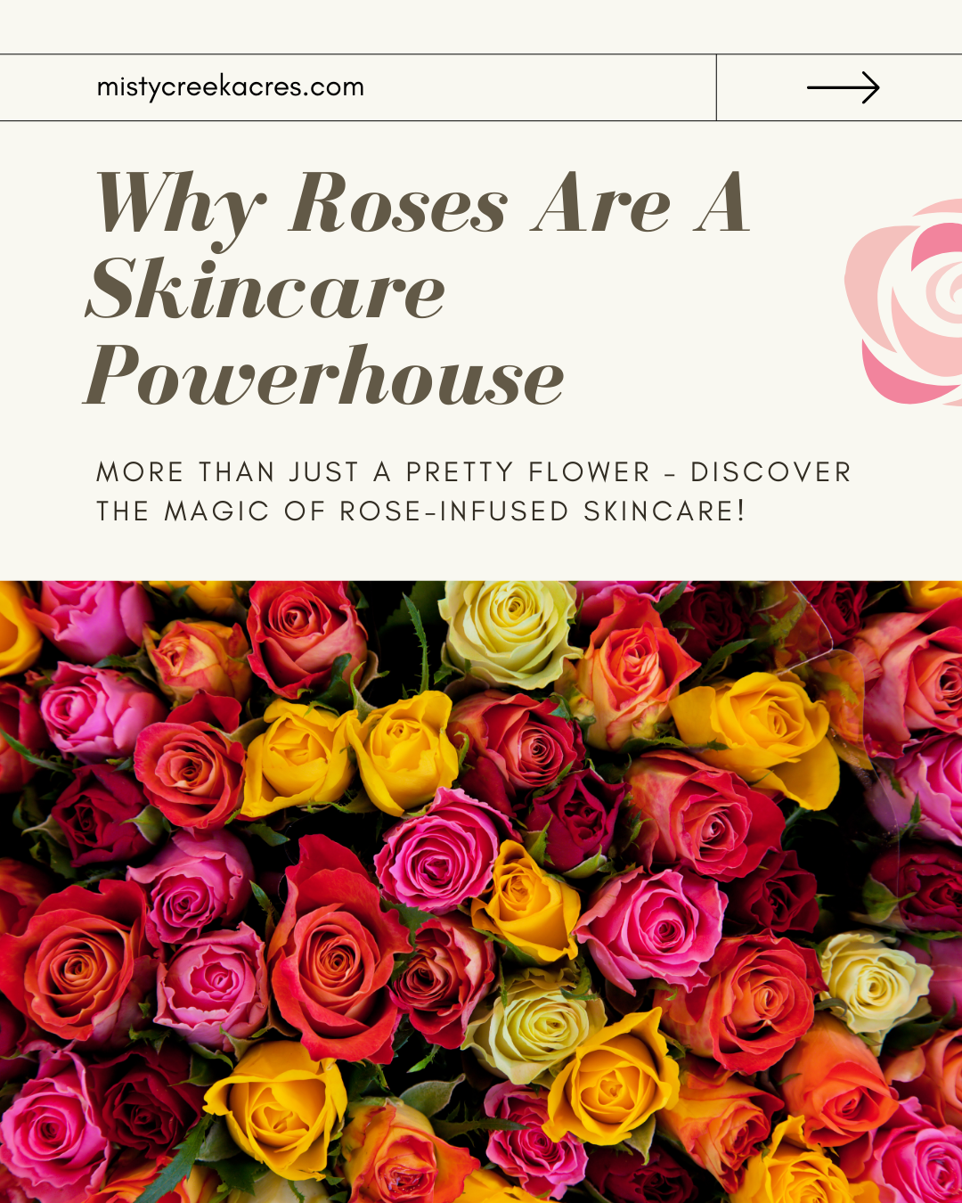 The Power of Rose in Skincare – More Than Just a Pretty Flower