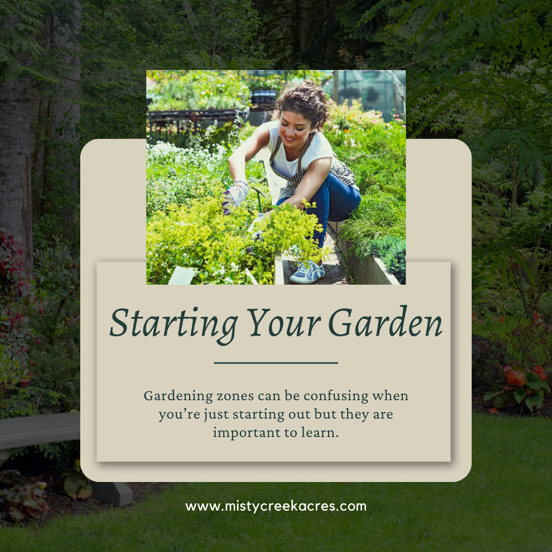 Zone in on Gardening Success: A Beginner's Guide to Gardening Zones