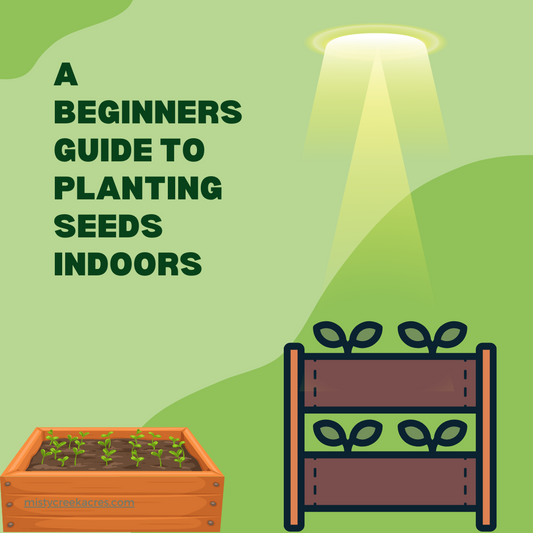 A Beginner's Guide to Starting Seeds Indoors