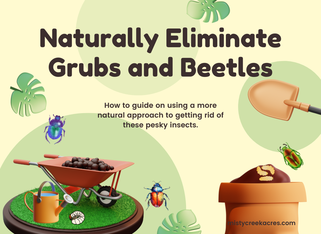 A Natural Homesteader's Guide to Eliminating Grubs and Beetles in Your Yard