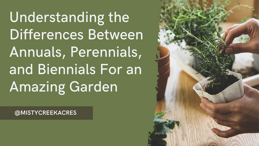 The Ultimate Guide to Annuals, Perennials & Biennials