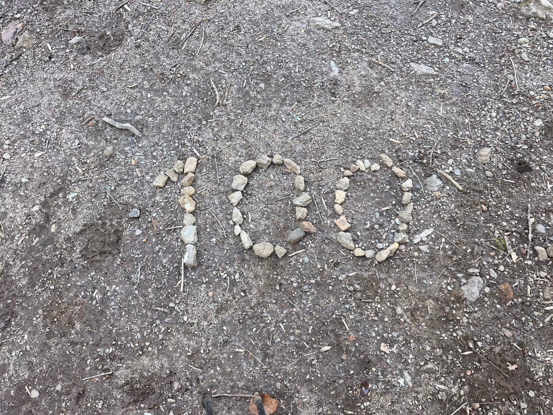 Day 10 - Thru Hiking The Appalachian Trail