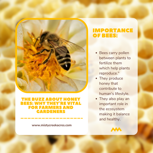 The Buzz about Honey Bees: Why They're Vital for Farmers and Gardeners