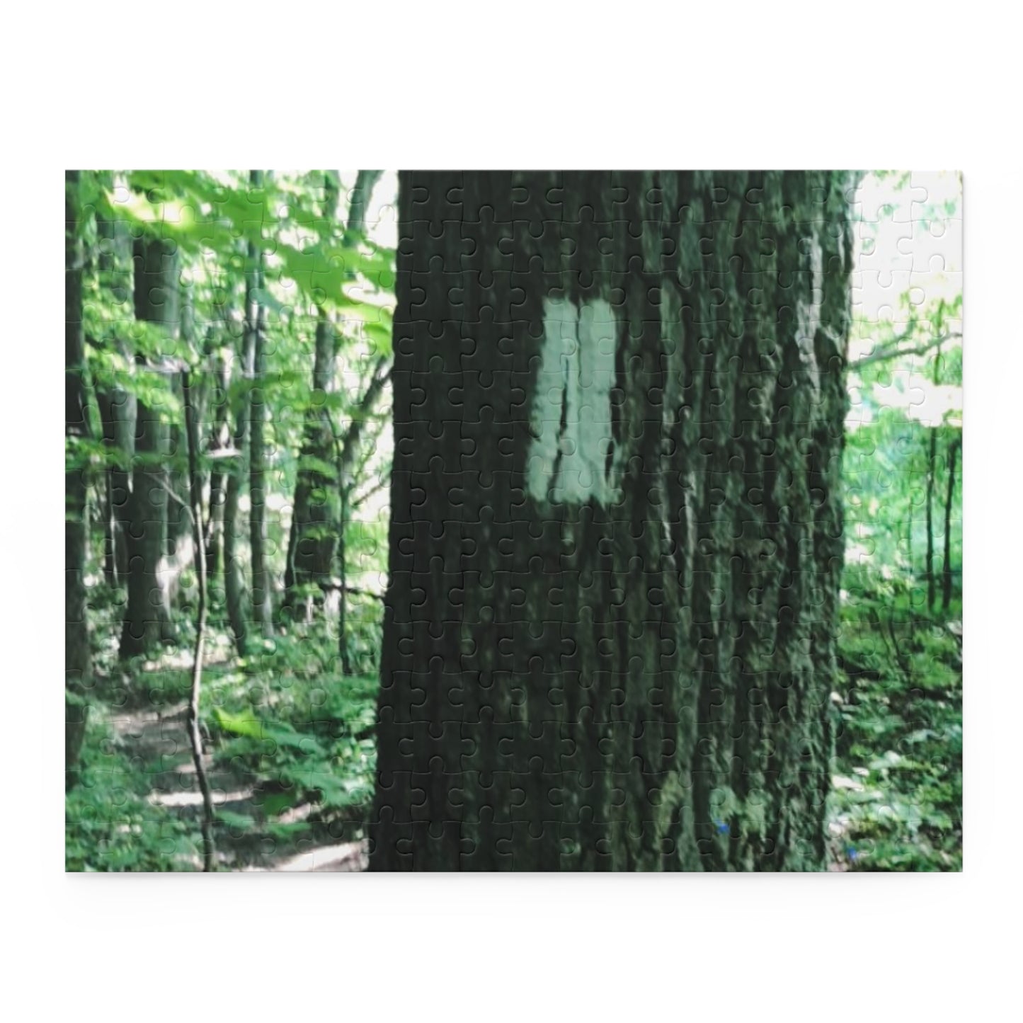 Appalachian Trail Puzzle, Gift for hikers, gift for Appalachian hikers, Appalachian Trail Puzzle