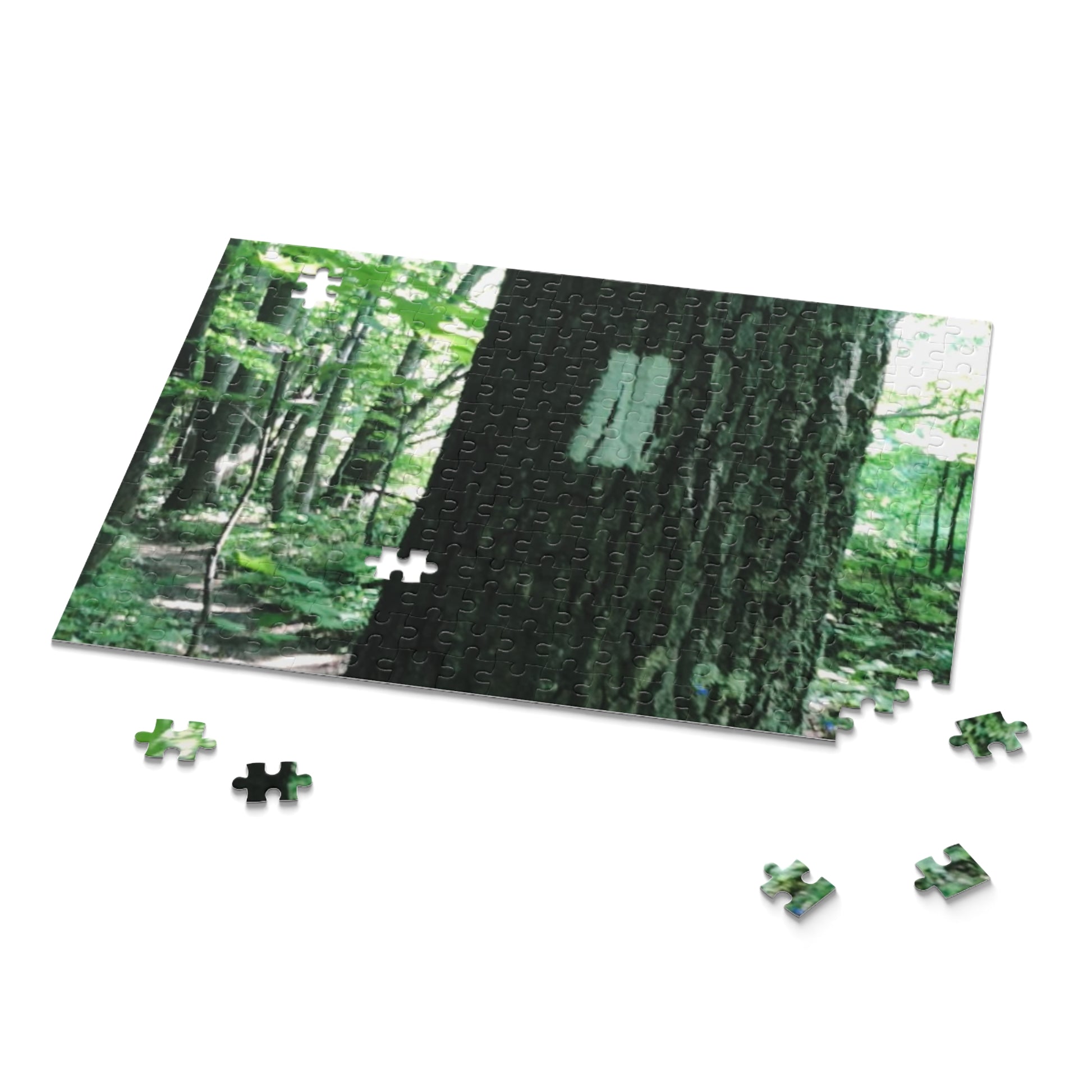 Appalachian Trail Puzzle, Gift for hikers, gift for Appalachian hikers, Appalachian Trail Puzzle