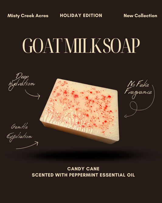 Candy Cane Goat Milk Soap Bar – Limited Holiday Edition | Natural Peppermint Exfoliating Soap