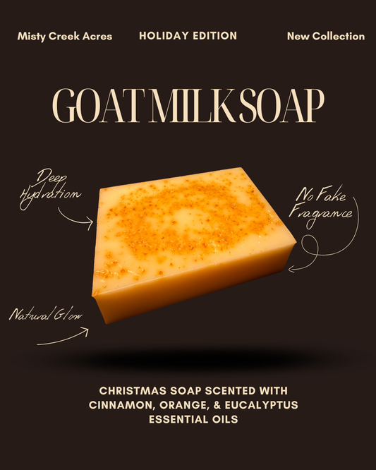 Christmas Goat Milk Soap Bar – Limited Holiday Edition | Orange, Honey, Eucalyptus & Cinnamon Soap