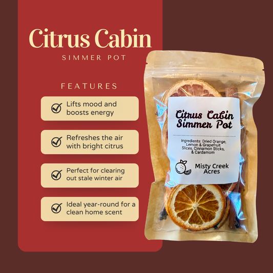 Citrus Cabin Simmer Pot – Bright Citrus & Spice Natural Home Fragrance