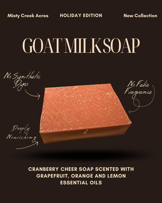 Cranberry Cheer Goat Milk Soap Bar – Limited Holiday Edition | Cranberry Seed Oil & Citrus Essential Oils