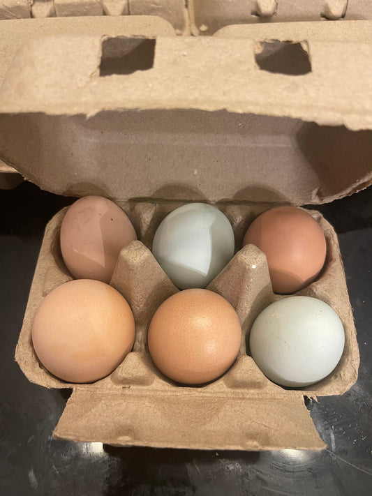 Farm fresh eggs, Homesteading eggs, North Carolina farm eggs, North Carolina homestead, Half dozen farm fresh eggs
