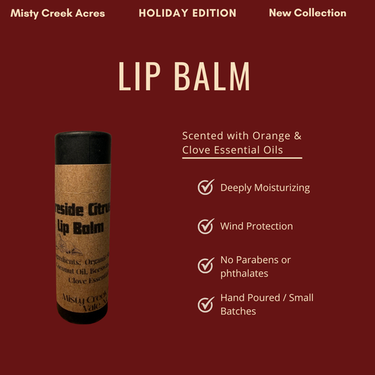 Fireside Citrus Lip Balm – Limited Holiday Edition | Orange & Clove Natural Lip Balm