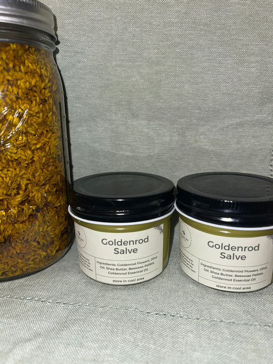 Goldenrod salve, homemade goldenrod salve, muscle relief salve, homemade salve for muscle relief, non-toxic muscle relief, small business salve, North Carolina goldenrod salve, homesteading products