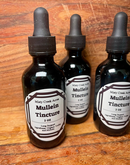 Mullein Tincture – Lung Support Made Simple