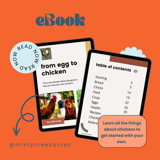 From Egg To Chicken eBook Download