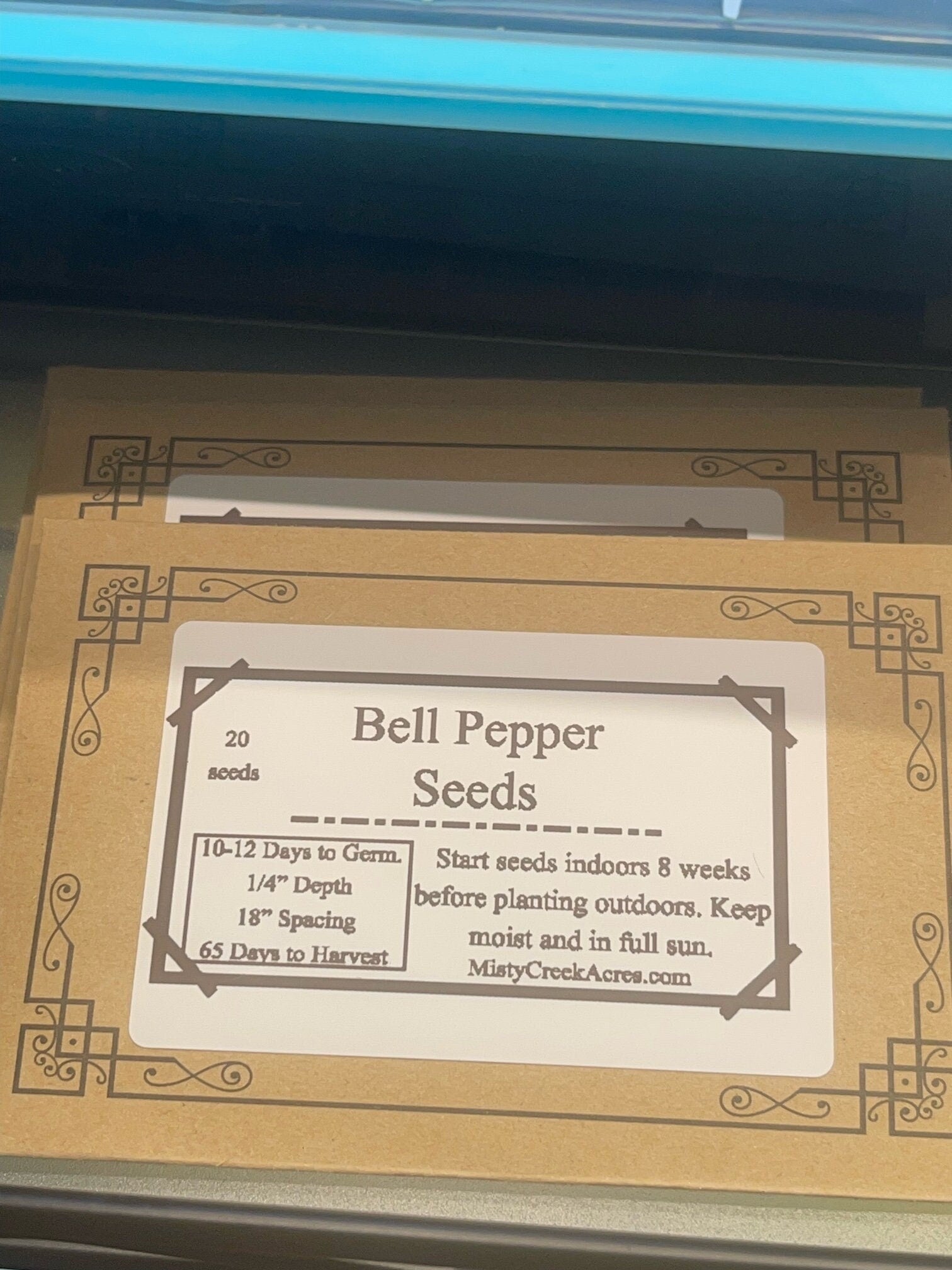 Bell Pepper Seeds for Vibrant Home Harvests