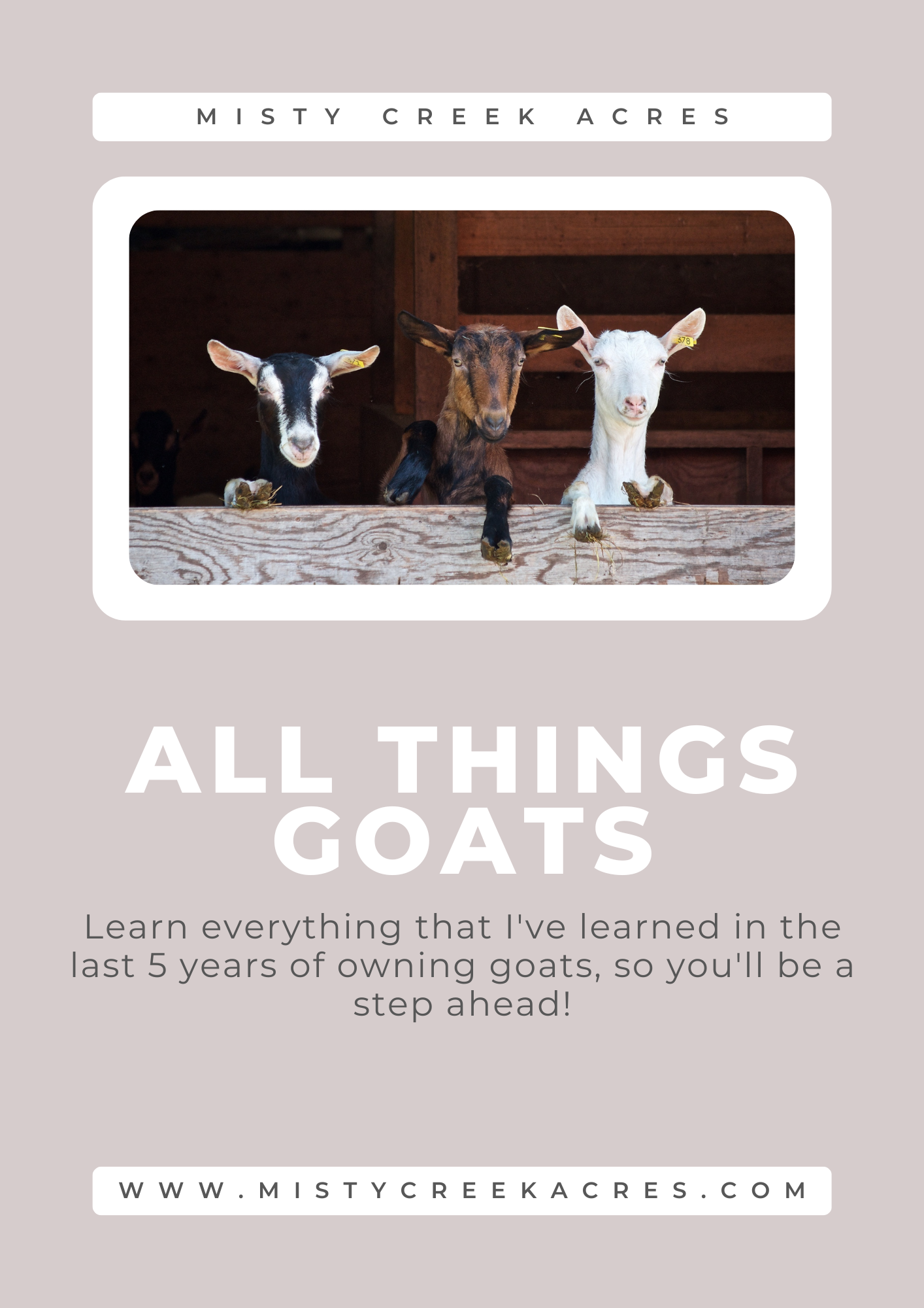 All About Goats, Learning to Raise Goats, How to Own Goats, Homesteading Guides