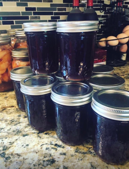 Homemade elderberry syrup kit, homeopathic remedy kit, natural medicine kit, DIY homeopathic medicine, natural immune boost